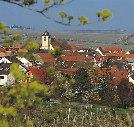 Guest house Pfaelzer Heinrich