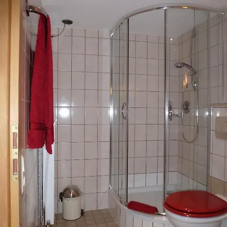 Pfälzer Heinrich 3*