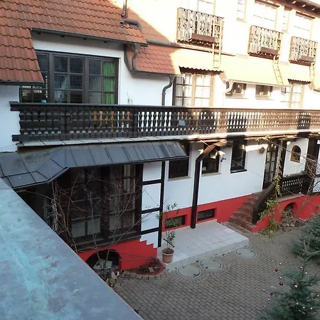 Pfaelzer Heinrich Guest house Bad Duerkheim