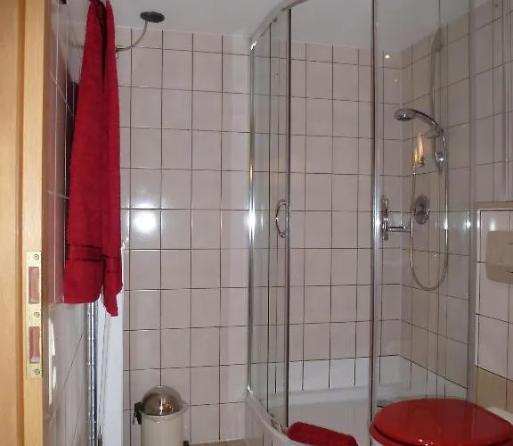 Pfaelzer Heinrich 3*